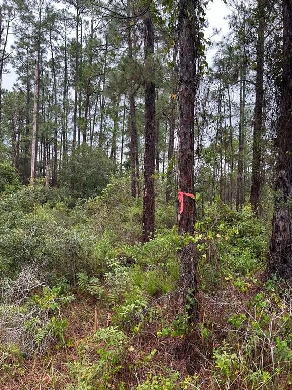 3117 51st Street W, LEHIGH ACRES