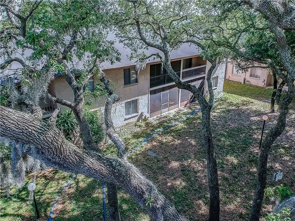 7537 Pitch Pine Circle N C, TAMPA