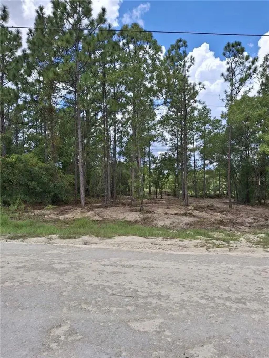 14167 Condor Road, WEEKI WACHEE