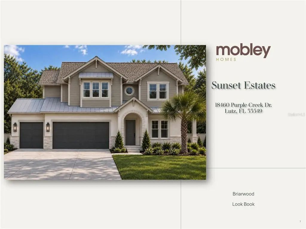 18460 Purple Creek Lane, LUTZ