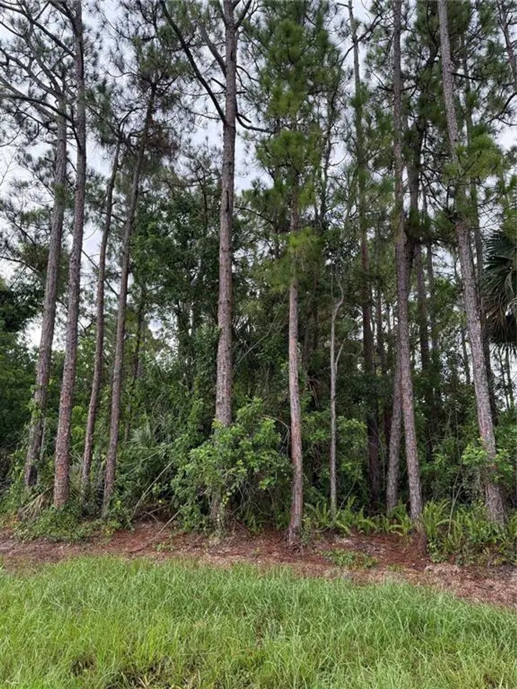 2361 San Filippo Drive Se, PALM BAY