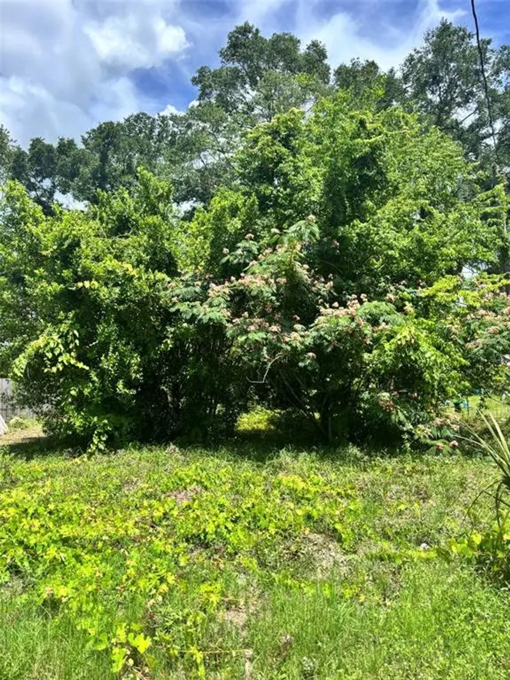 206 Ne 13th Avenue, CHIEFLAND