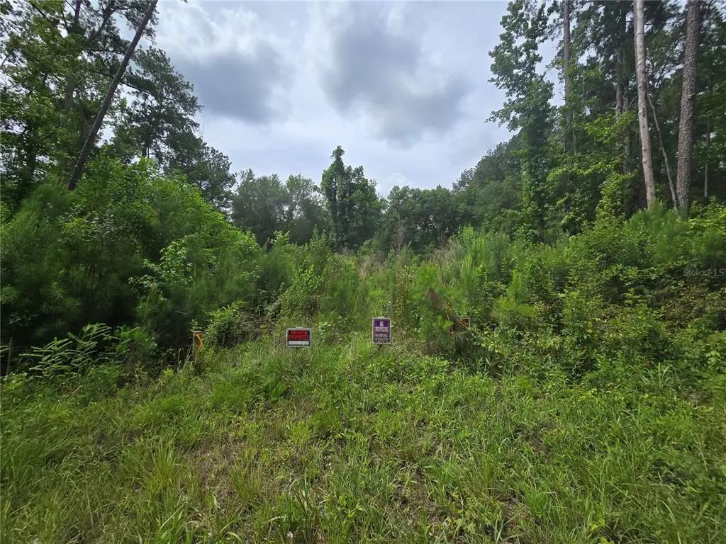 316 Sequoia Drive, OCKLAWAHA