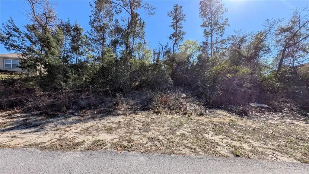 13014 Hanley Drive, SPRING HILL