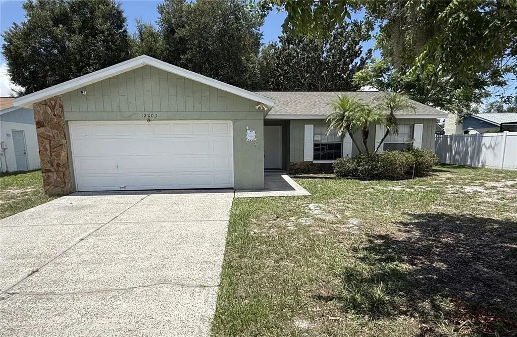 12803 Slippery Elm Court, RIVERVIEW