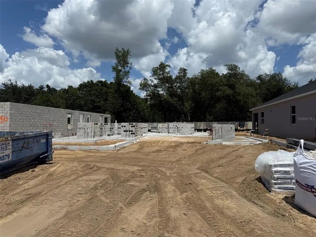 469 Lady Palm Street, APOPKA