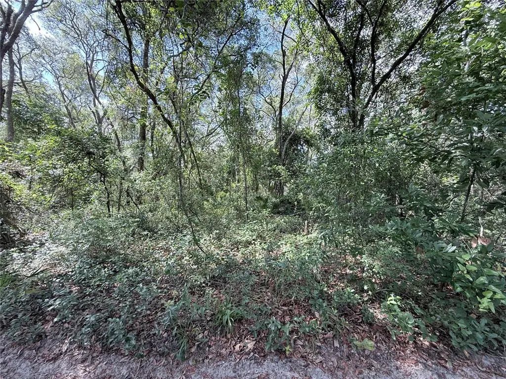 Tbd Sw 150th Street, DUNNELLON