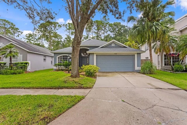 10420 Springrose, TAMPA