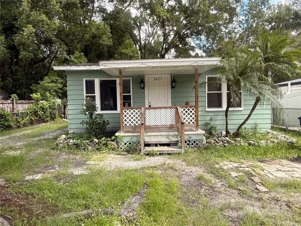 8425 N Jones Avenue, TAMPA