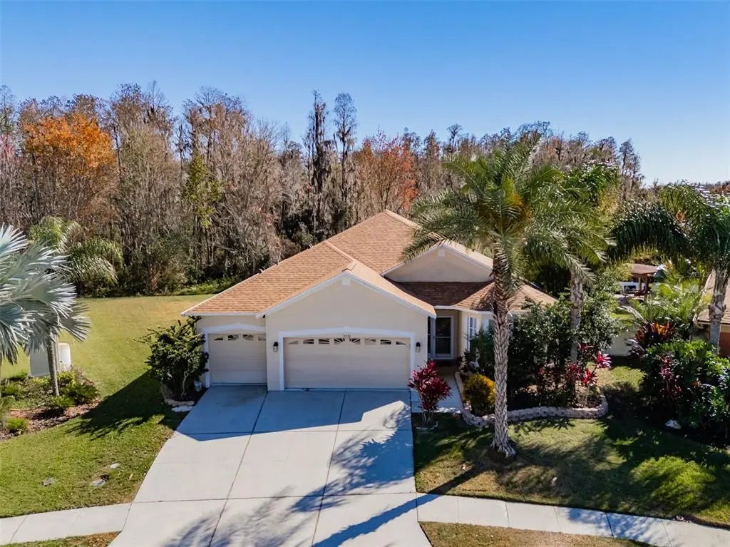 31230 Alchester Drive, WESLEY CHAPEL