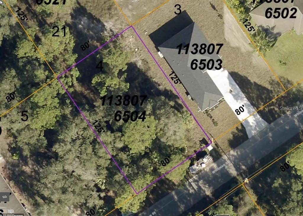 Whitman Street, NORTH PORT