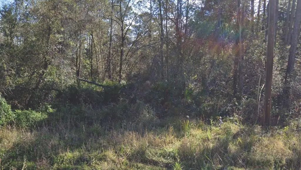 104 Donald R Boulevard, PALATKA