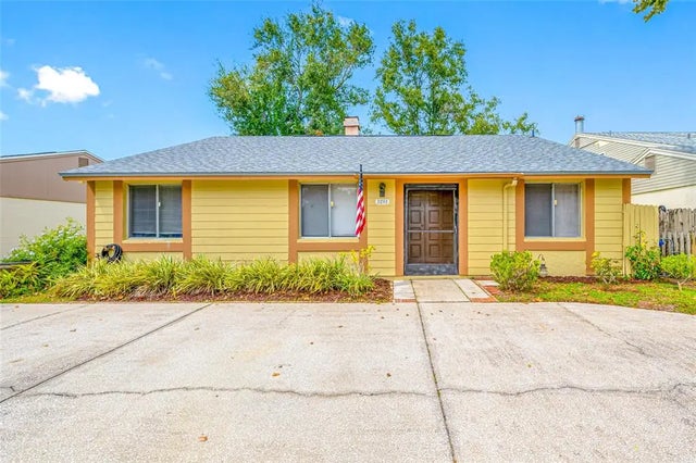 3203 Sandspur Drive, TAMPA