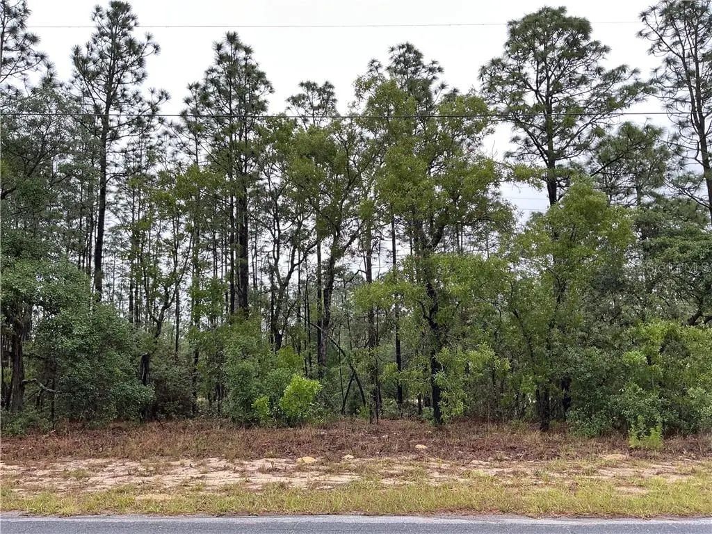 2905 W Sharpes Drive, Citrus Springs