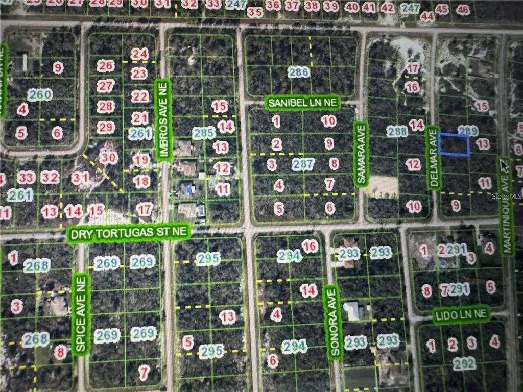 110 Delmar Avenue Ne, LAKE PLACID