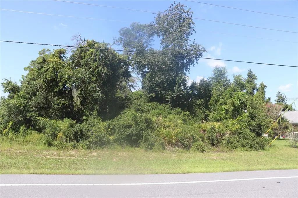 Tbd Sw Marion Oaks Manor, OCALA
