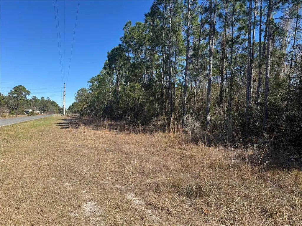 Grace Avenue, DELAND