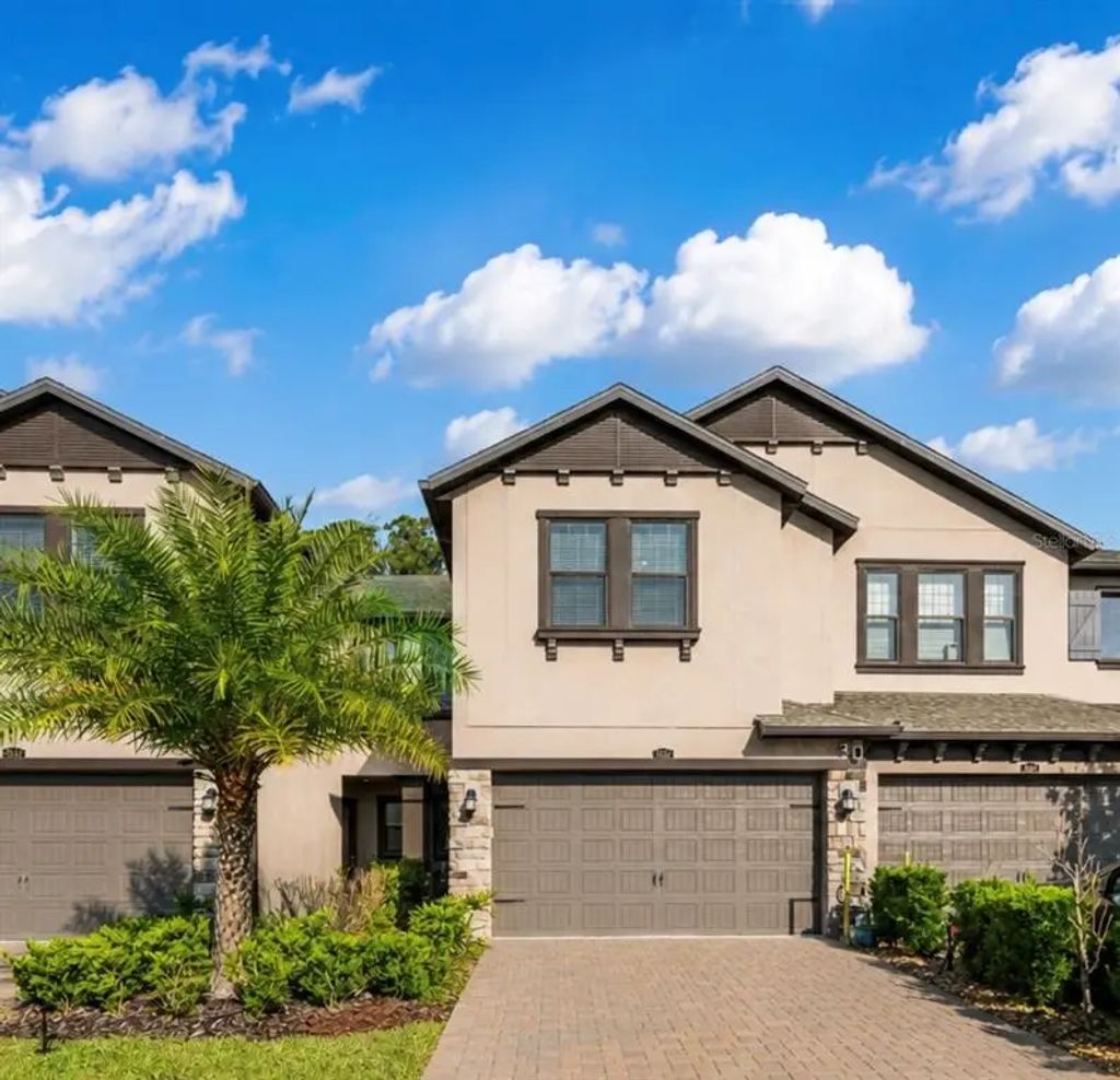 5054 San Martino Drive, WESLEY CHAPEL