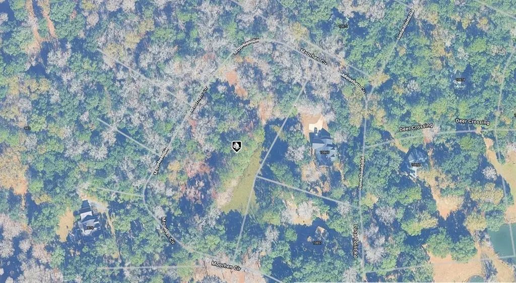 Moorhen Circle, TALLAHASSEE