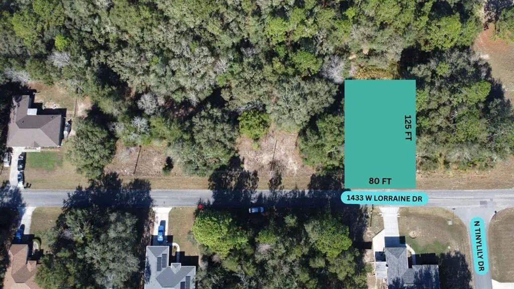 1433 W Lorraine Drive, CITRUS SPRINGS