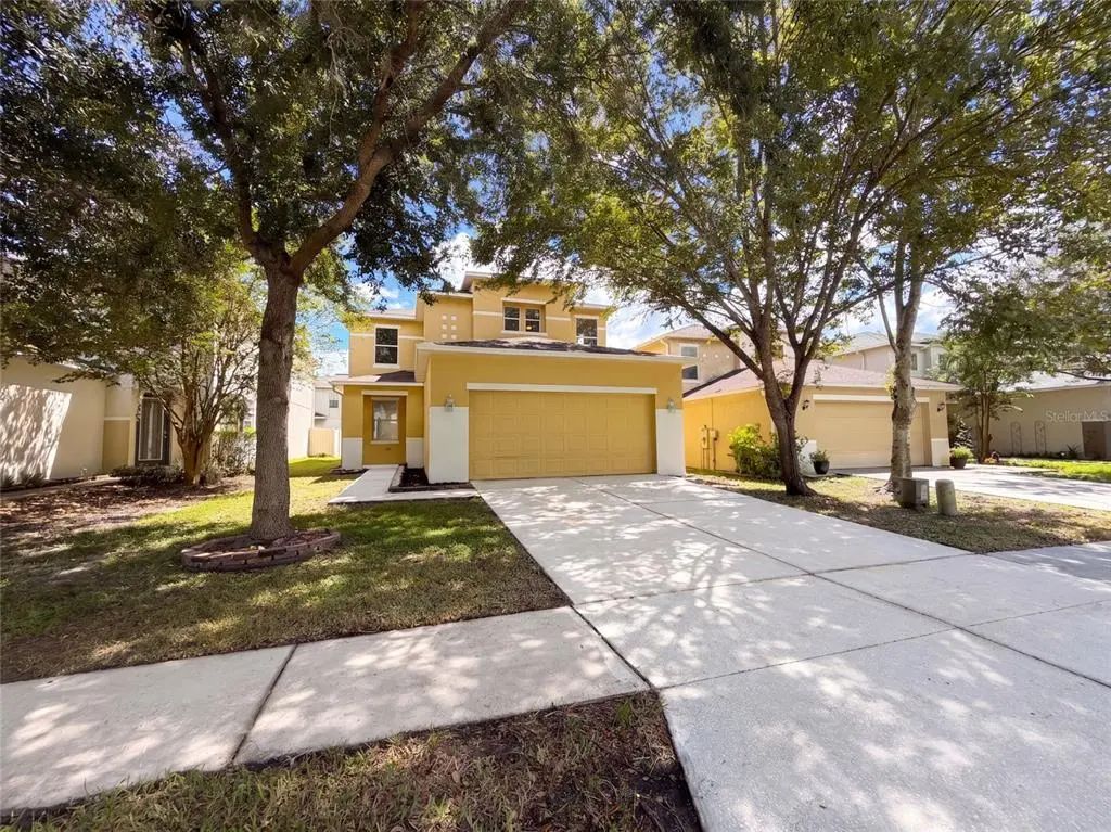 17534 Balmaha Drive, LAND O LAKES