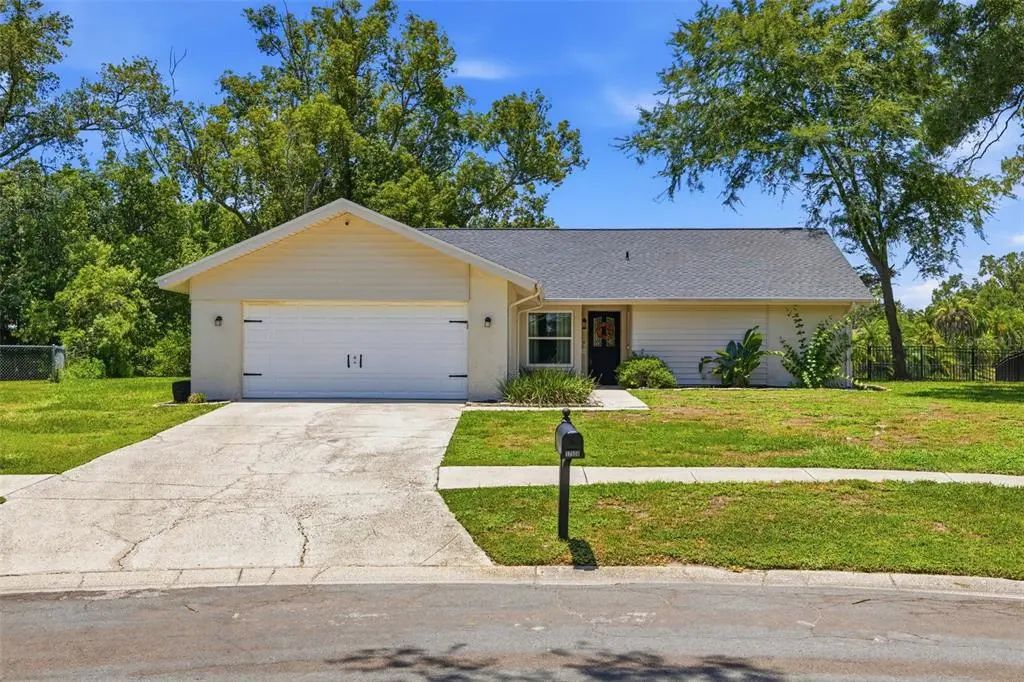 17508 Brandywine Drive, LUTZ