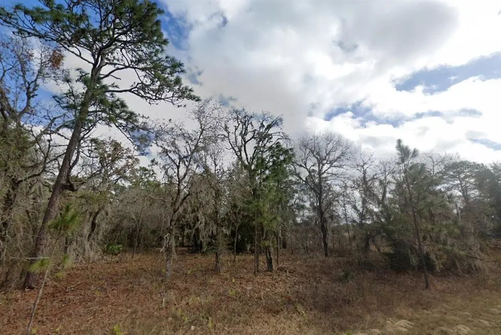 Crider Road, WEEKI WACHEE