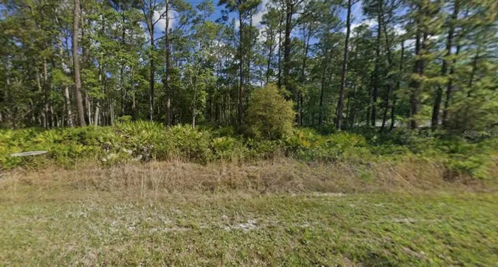 608 Hickory Nut Trail, SATSUMA