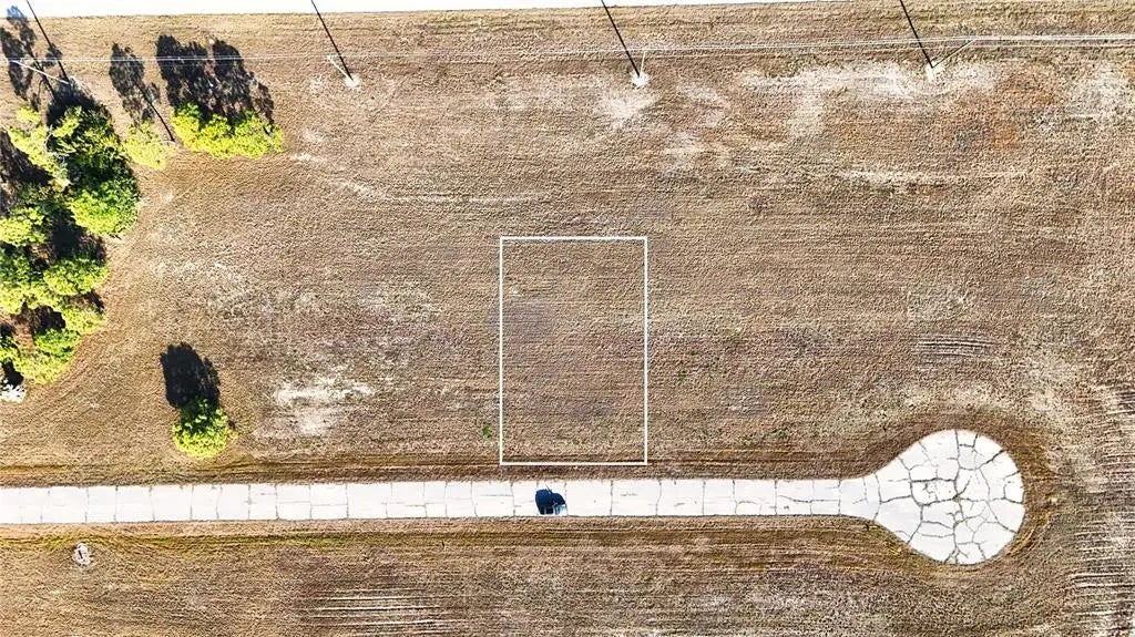 Photo of Listing #O6388456