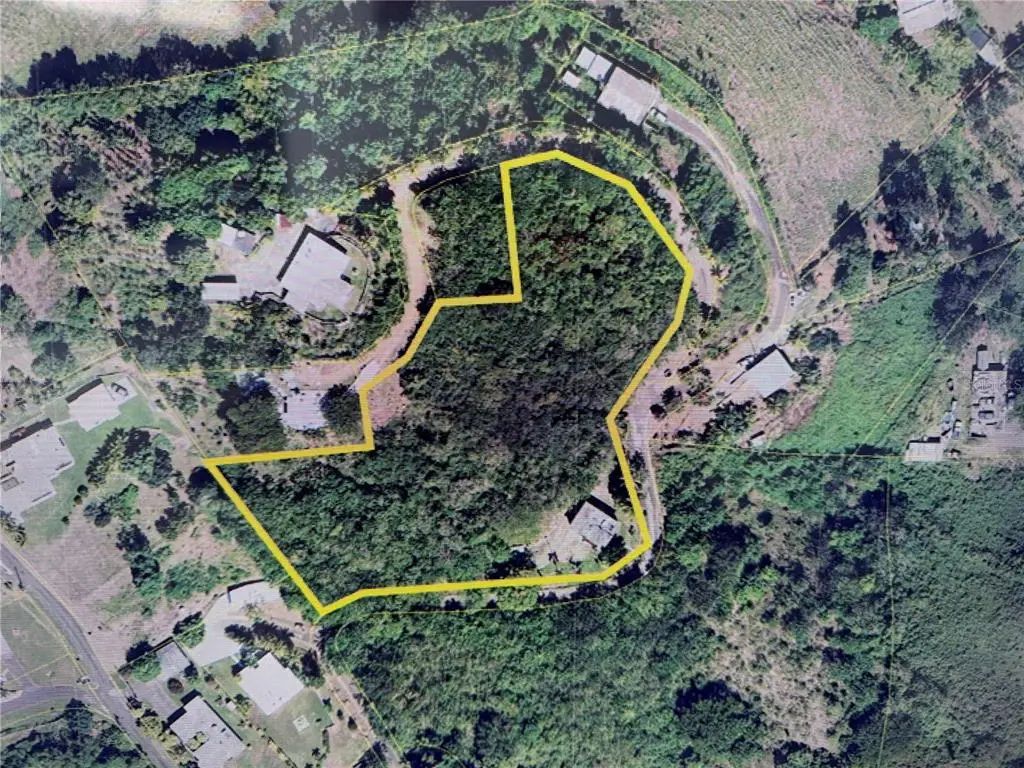 0.7 Km Carr. 184 Bo. Cacao Alto, PATILLAS