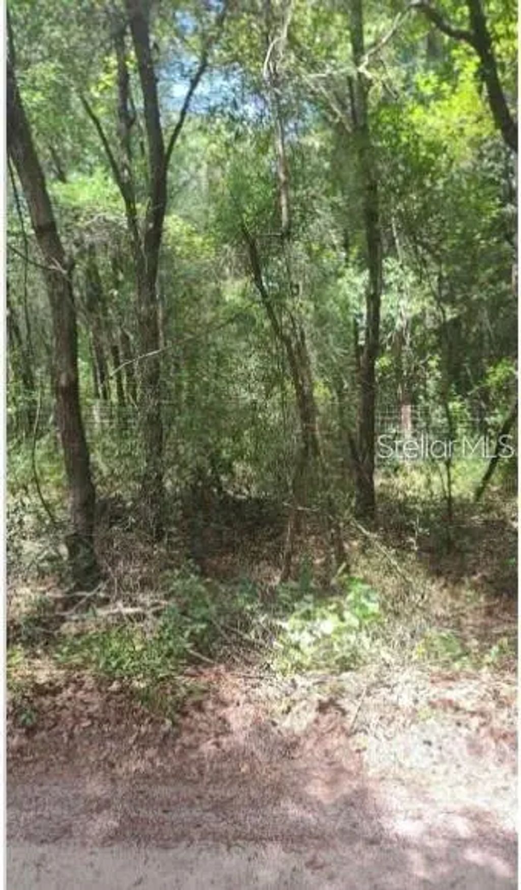 Southwest 156th Place, DUNNELLON