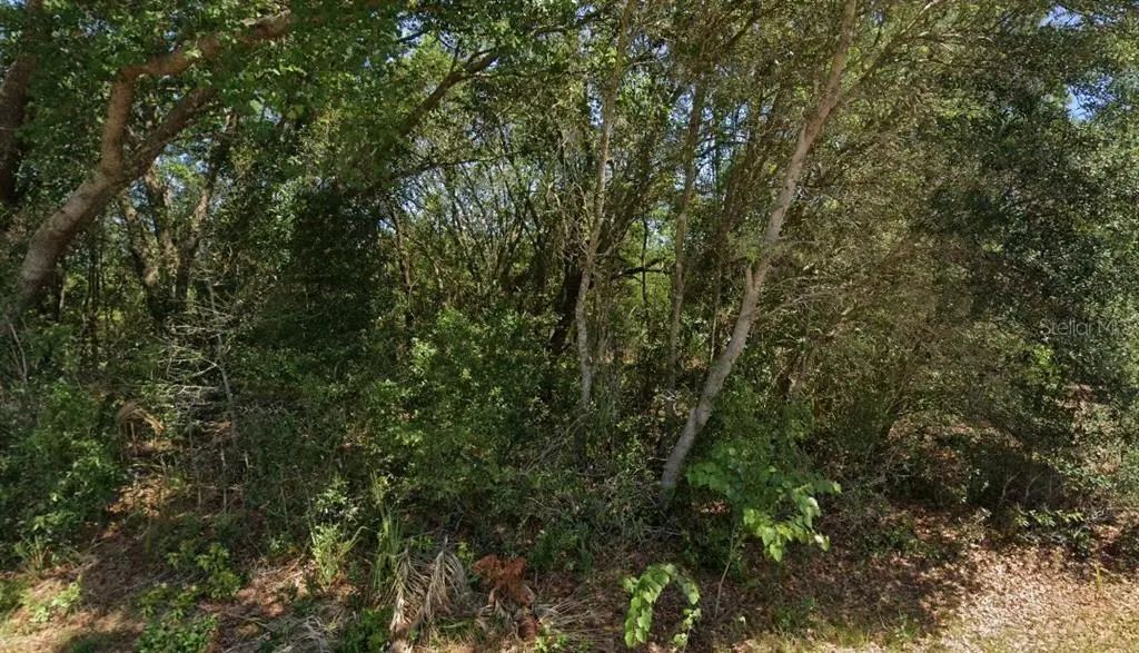 19901 Flamingo Drive, DUNNELLON