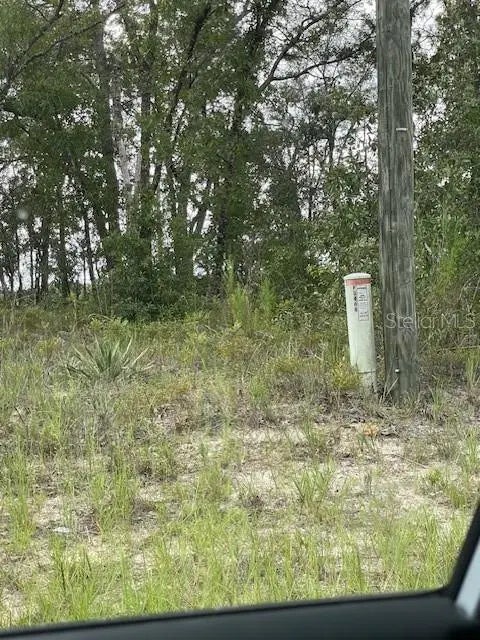 2466 W Rutland Drive, CITRUS SPRINGS