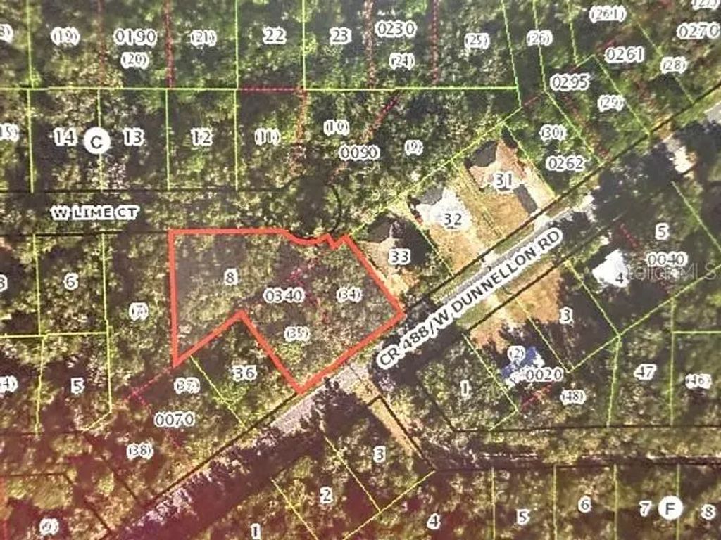 9771 W Dunnellon Road, CRYSTAL RIVER