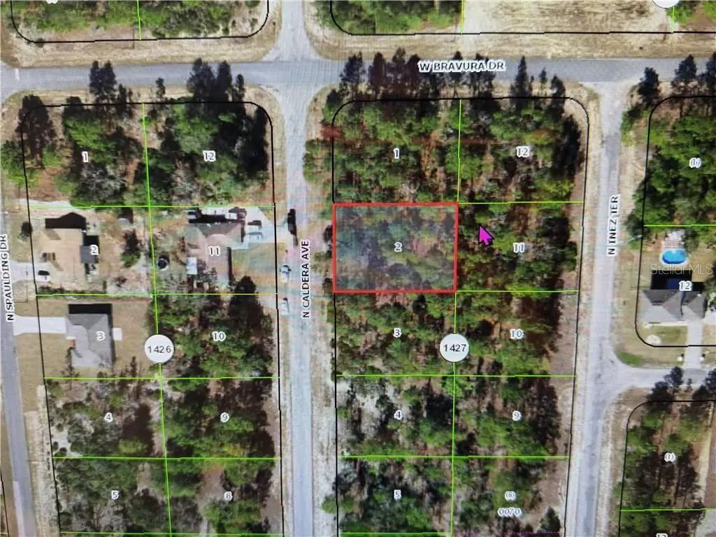 10585 N Caldera Avenue, Dunnellon
