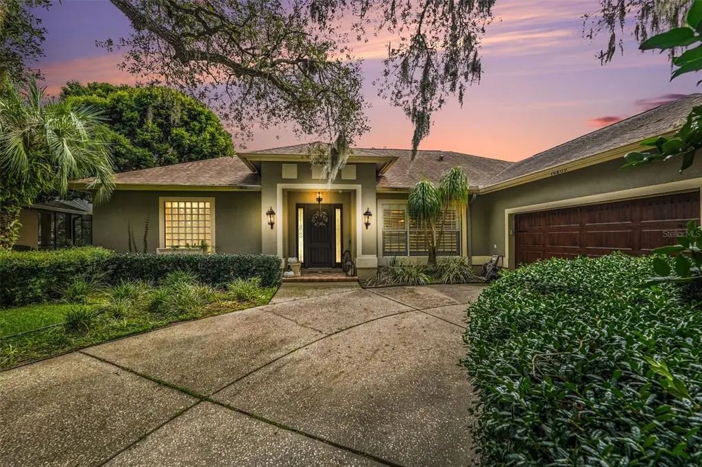 16809 Windsor Park Drive, LUTZ