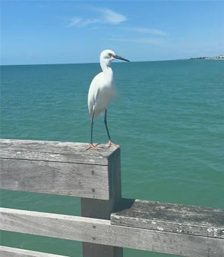 Gulf Shores Realty: 64 689e6341f136f7eaddae324c39c810fc s