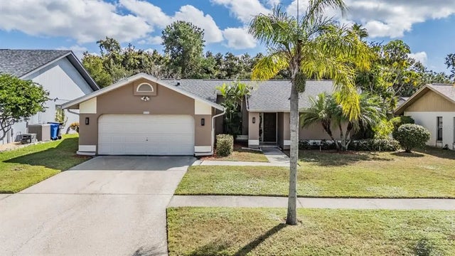 8628 Chadwick Drive, TAMPA