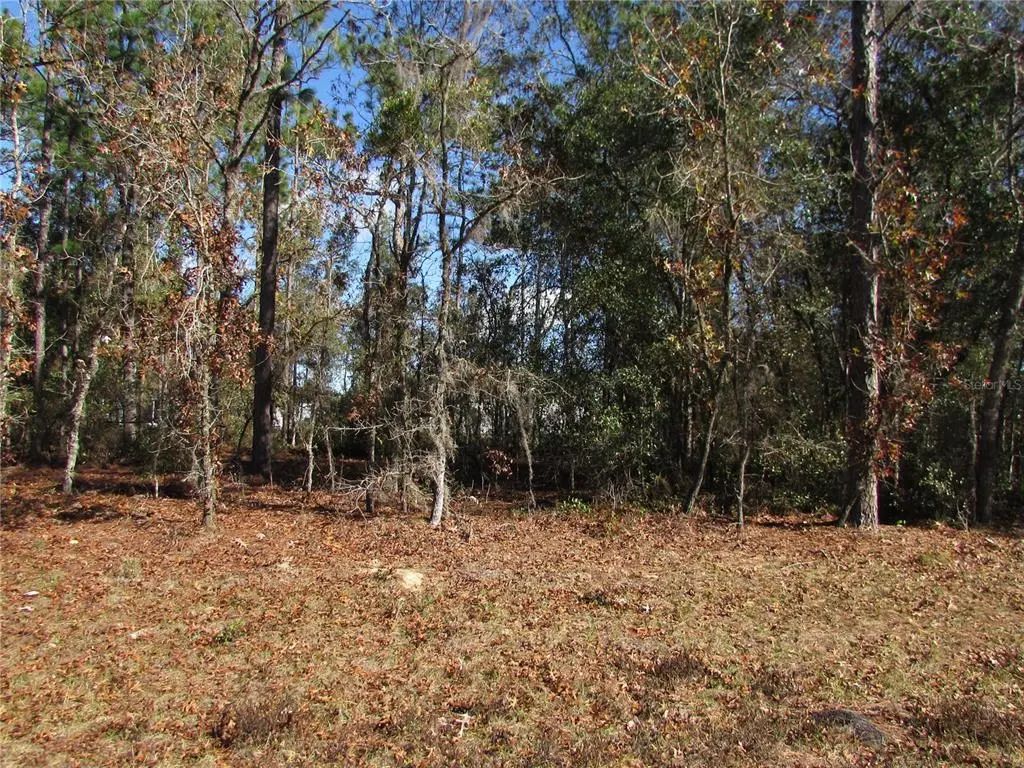 Lot 18 Sw 156 Street, OCALA