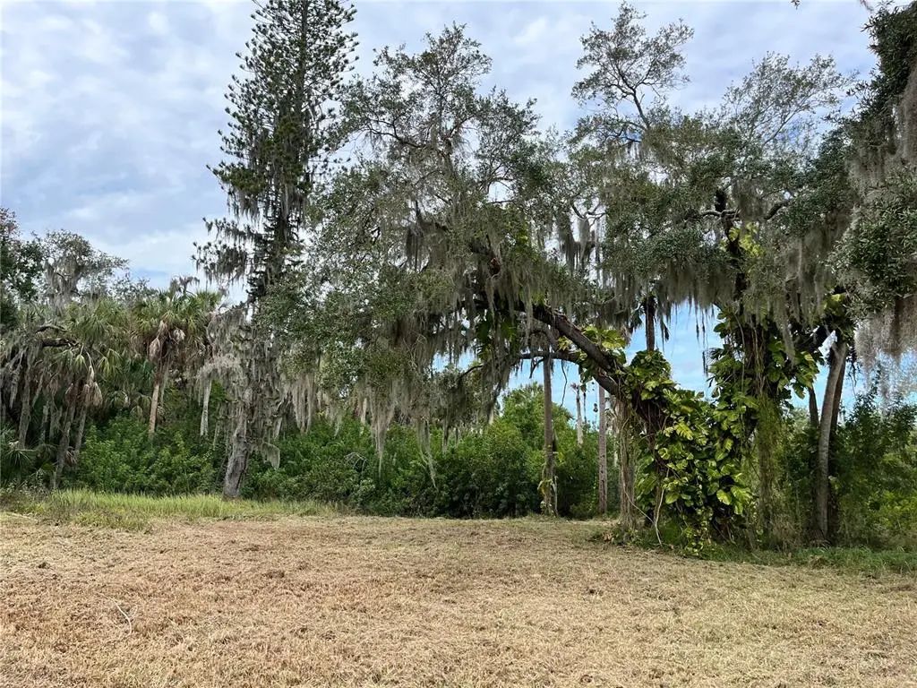 Photo of Listing #TB8494973