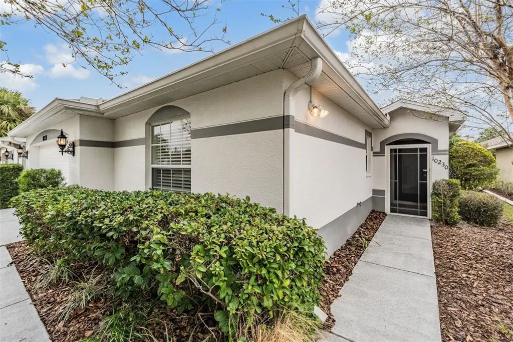 10230 Old Tampa Bay Drive, SAN ANTONIO