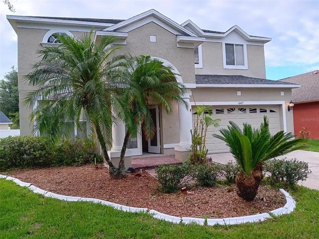 10415 Lucaya Drive, TAMPA