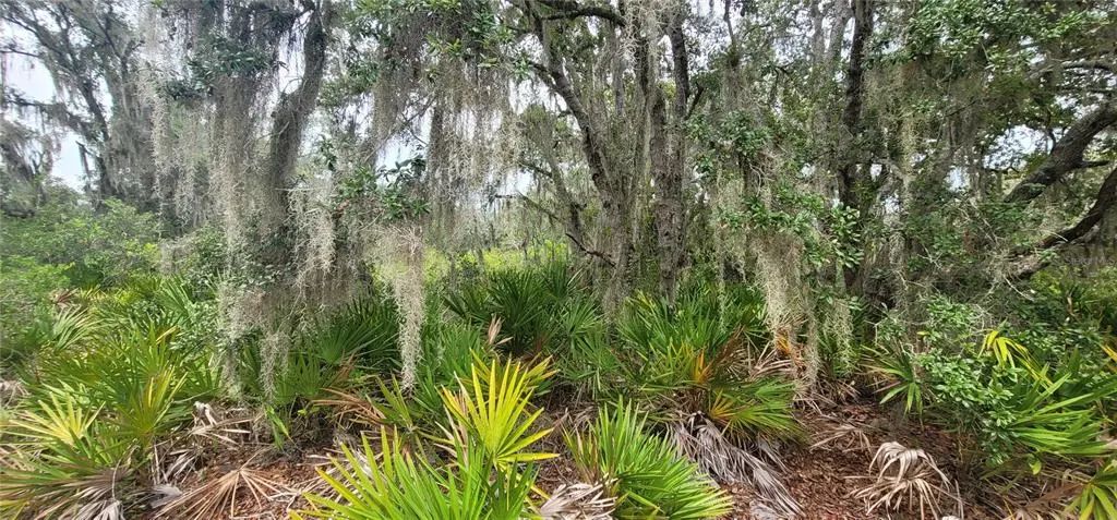 200 Red Fox Drive, SEBRING