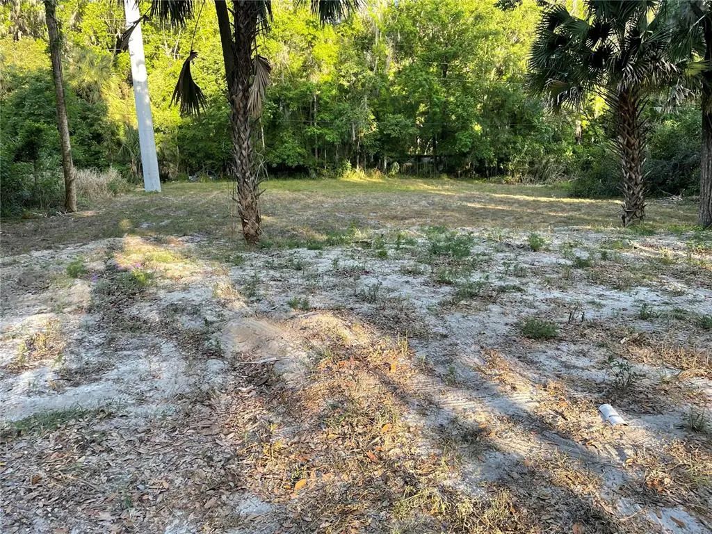 Park Avenue, DE LEON SPRINGS