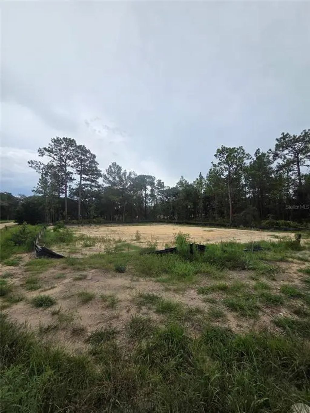 15326 Mottled Owl Road, WEEKI WACHEE