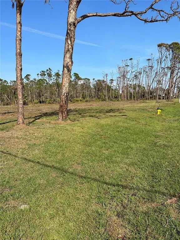 Photo of Listing #N6114464