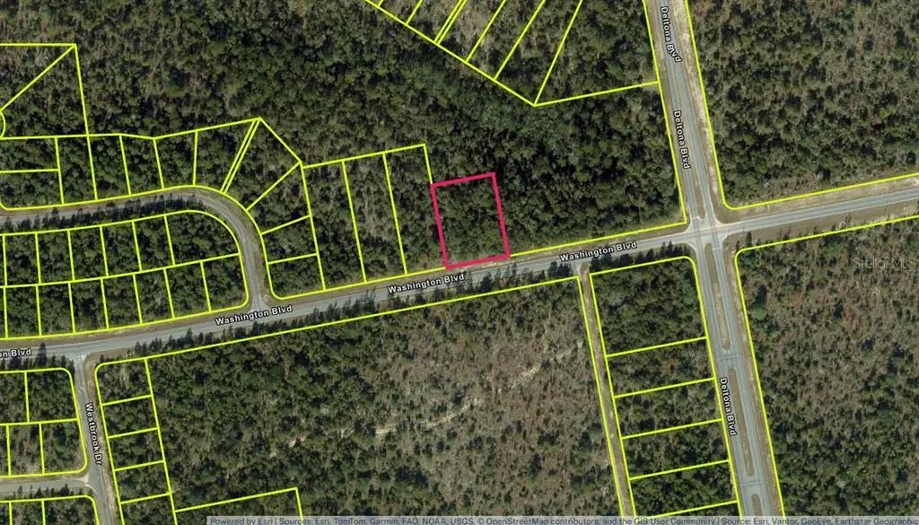 Lot 29 Unit 6 Blk 365 Washington Boulevard, CHIPLEY