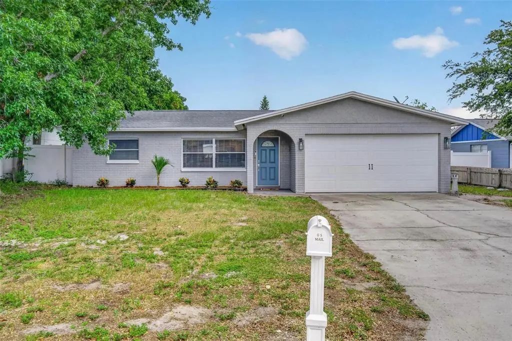 3113 Palm Court, DUNEDIN