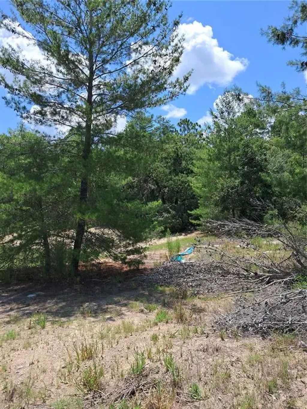 Sw 65 Ave Road, OCALA