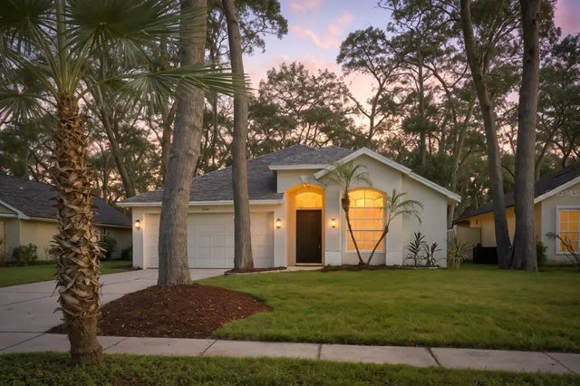 4507 Hidden Shadow Drive I, TAMPA